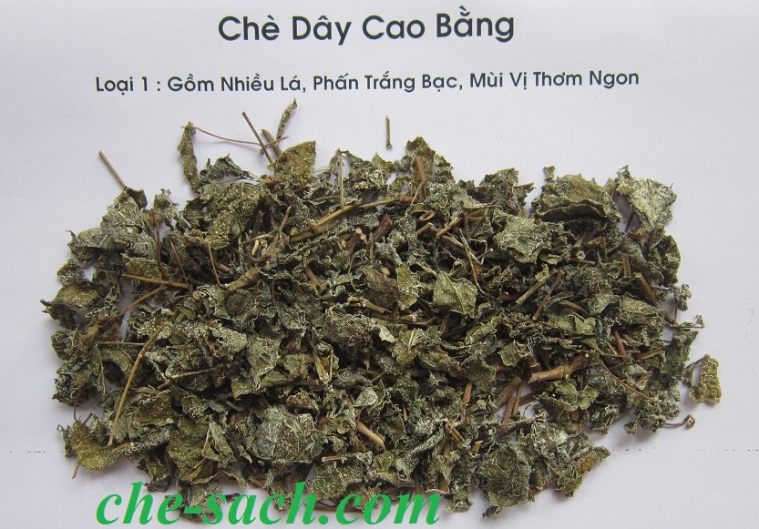 Chè dây cao bằng